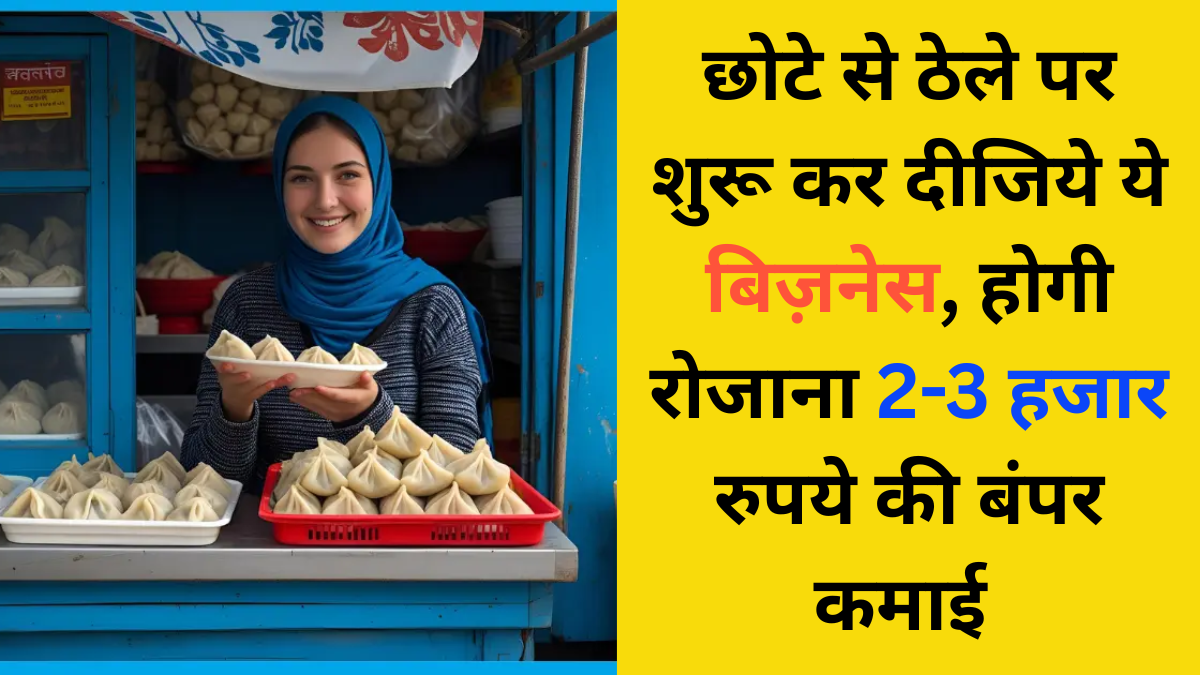 Momos Stall Business 