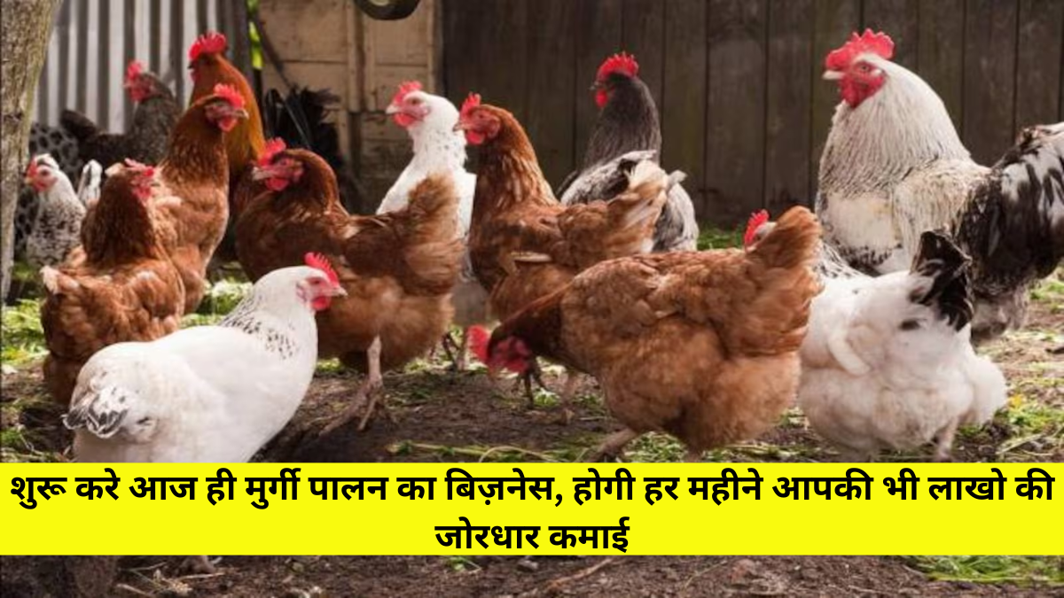 Poultry Farm Business Plan